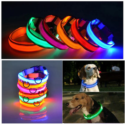 LED Adjustable Dog Collar Blinking Flashing Light up Glow Pets Safety Waterproof